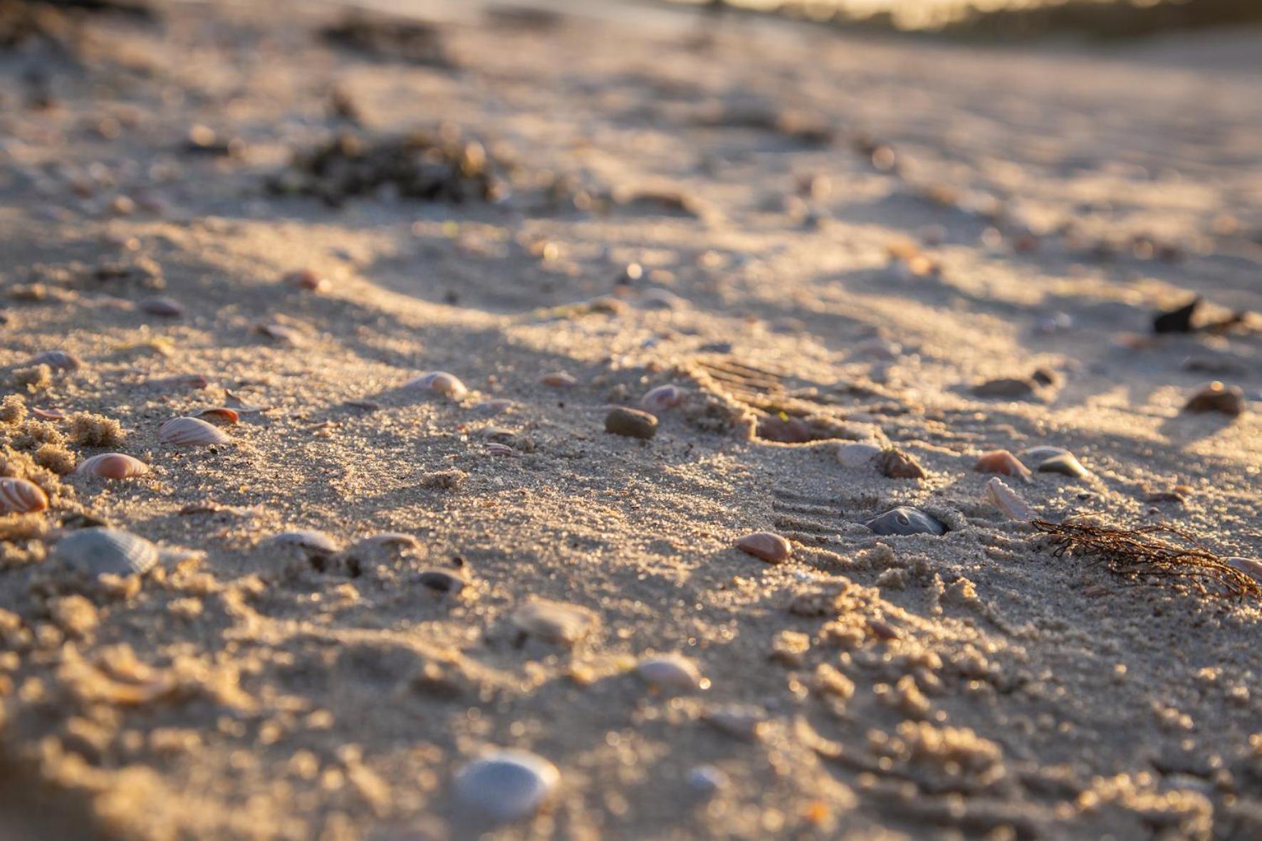 Wohnen Am Suedstrand - Ferienwohnung 1 1 Wyk auf Föhr Dış mekan fotoğraf